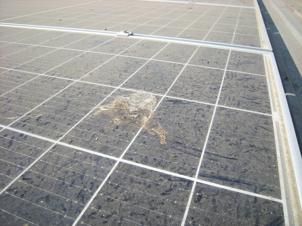 solar panel cleaning worth it