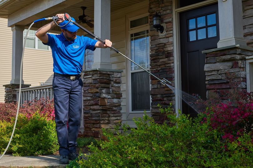 Why Is Mold Growing On Your Siding? 4 Causes And How To Avoid It True